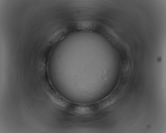 X0000093390749200710111515