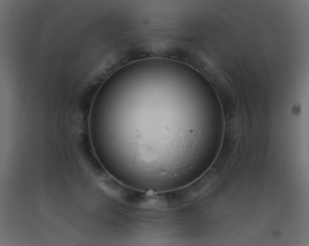 X0000093390750200710111515