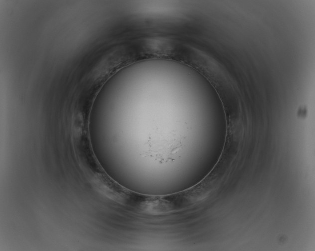 X0000093390752200710111515