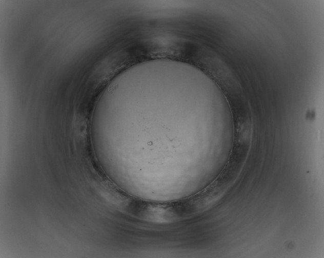 X0000093390753200710111515