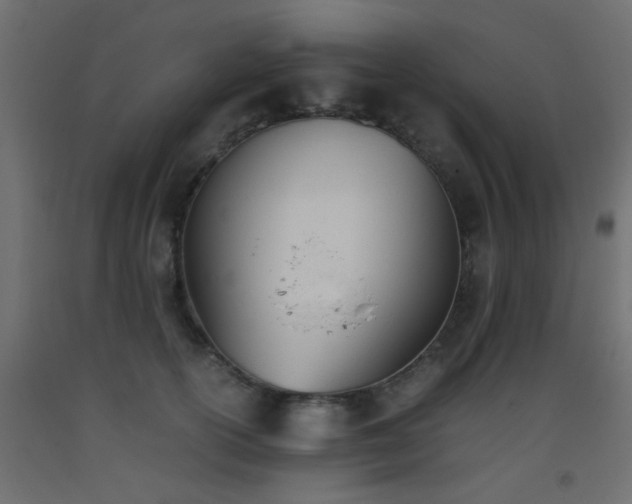 X0000093390754200710111515