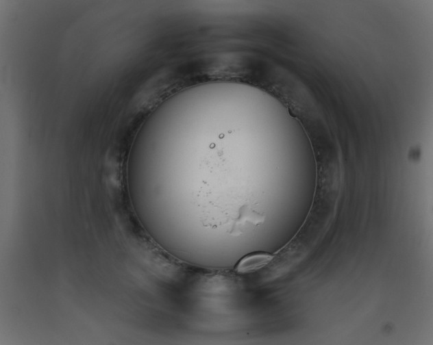 X0000093390755200710111515