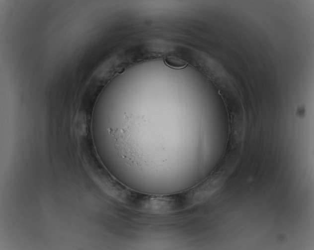 X0000093390758200710111515