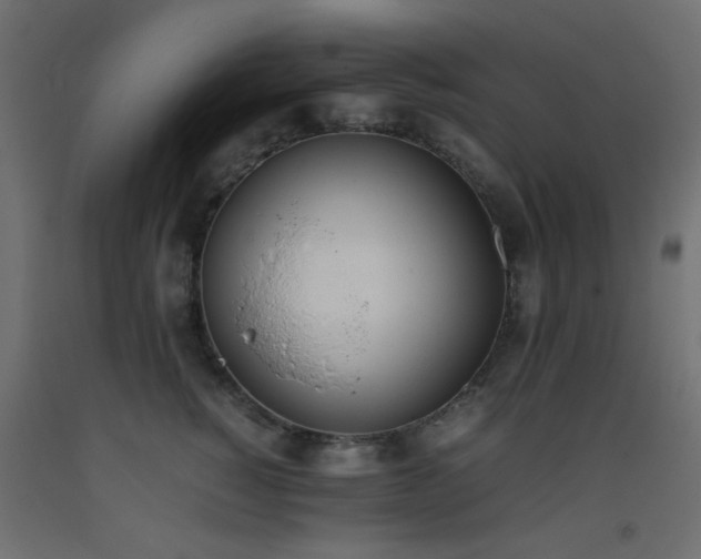 X0000093390760200710111515