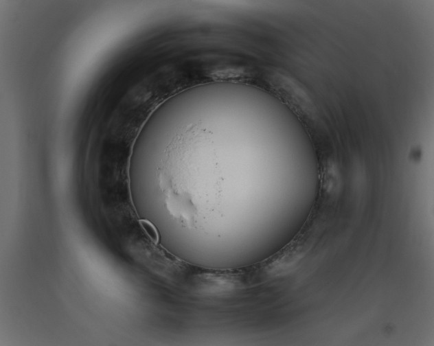 X0000093390763200710111515