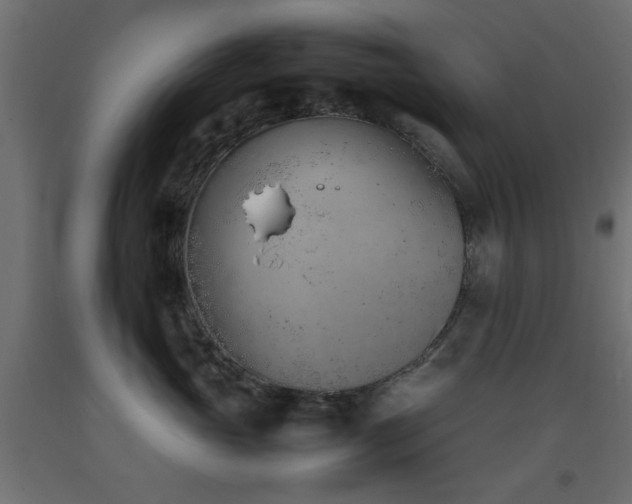 X0000093390765200710111515