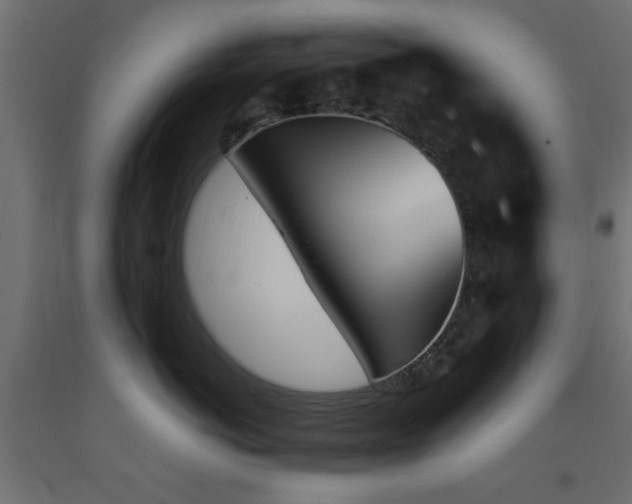 X0000093390766200710111515