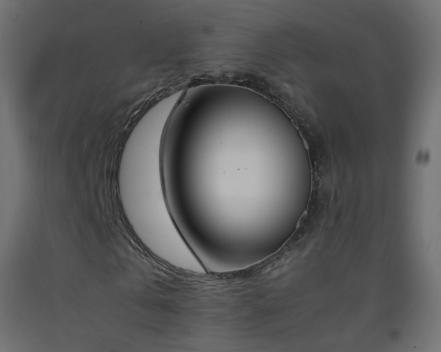 X0000093390769200710111514