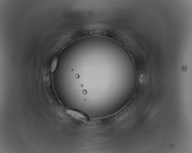 X0000093390771200710111514