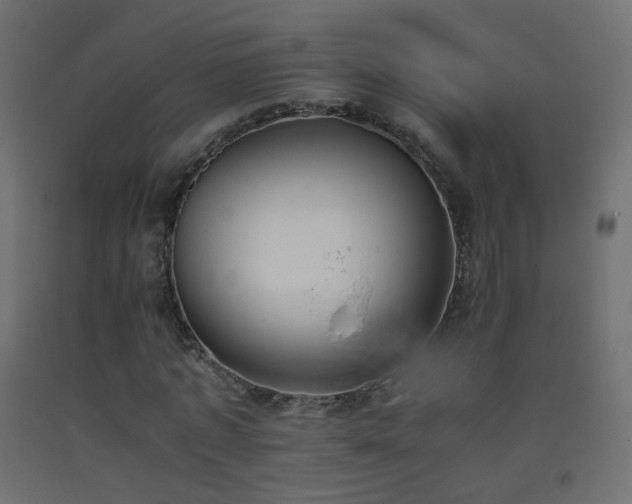 X0000093390773200710111514