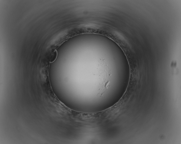 X0000093390774200710111514