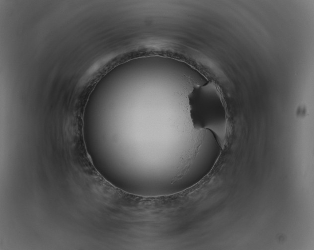 X0000093390776200710111514