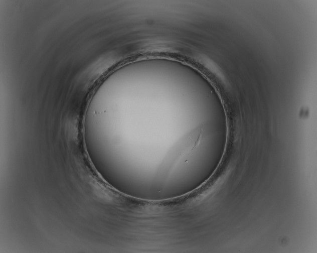 X0000093390777200710111514