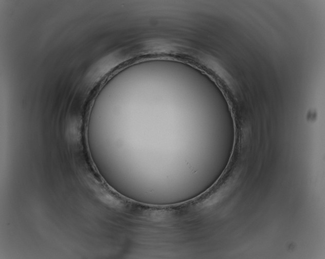 X0000093390778200710111514