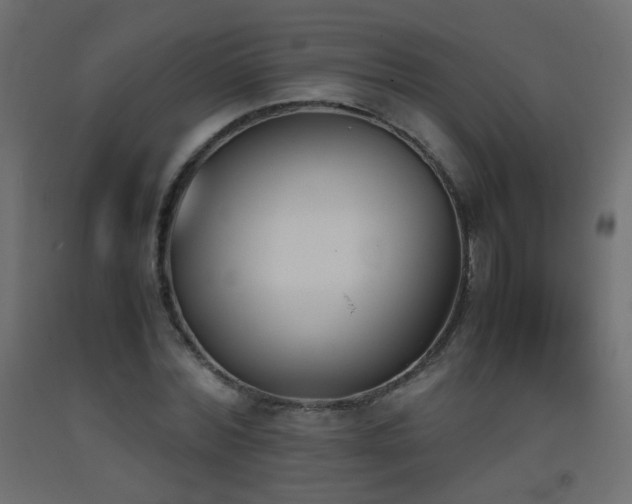 X0000093390780200710111514