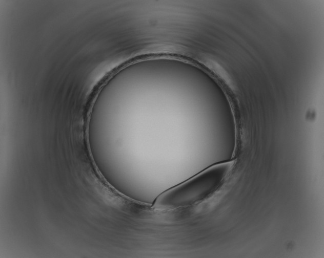 X0000093390781200710111514