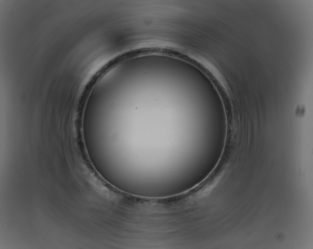 X0000093390783200710111514