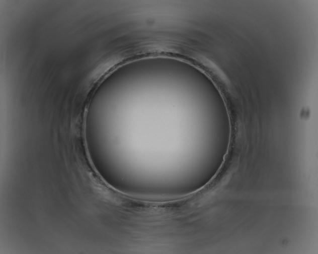 X0000093390785200710111514