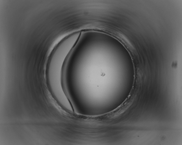 X0000093390788200710111514