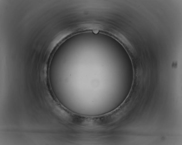 X0000093390790200710111514