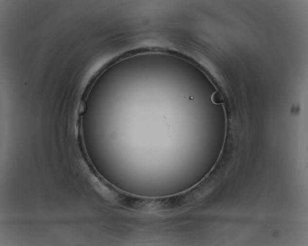 X0000093390791200710111514