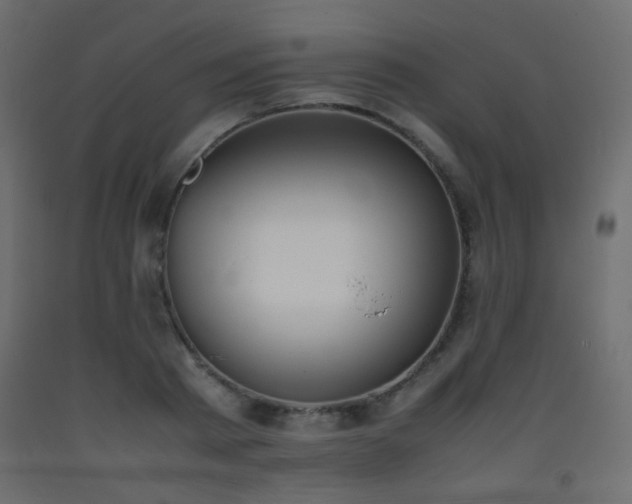 X0000093390793200710111514