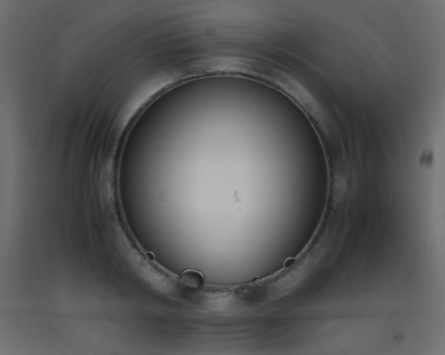 X0000093390798200710111514