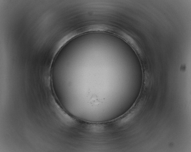 X0000093390802200710111514