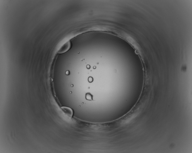 X0000093390803200710111514