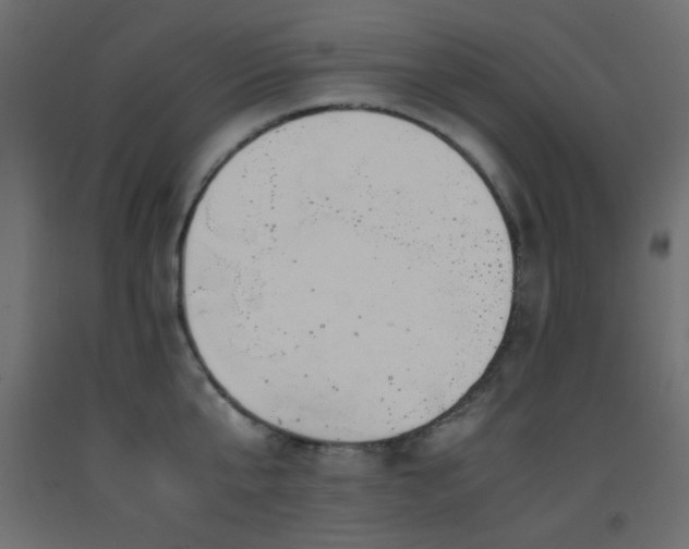 X0000093390807200710111514