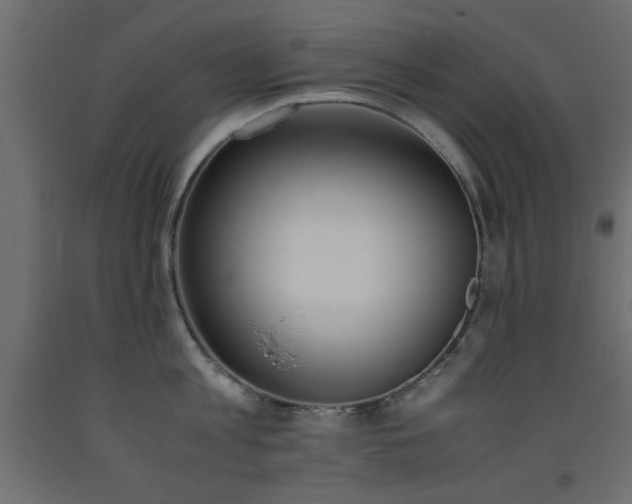 X0000093390813200710111514