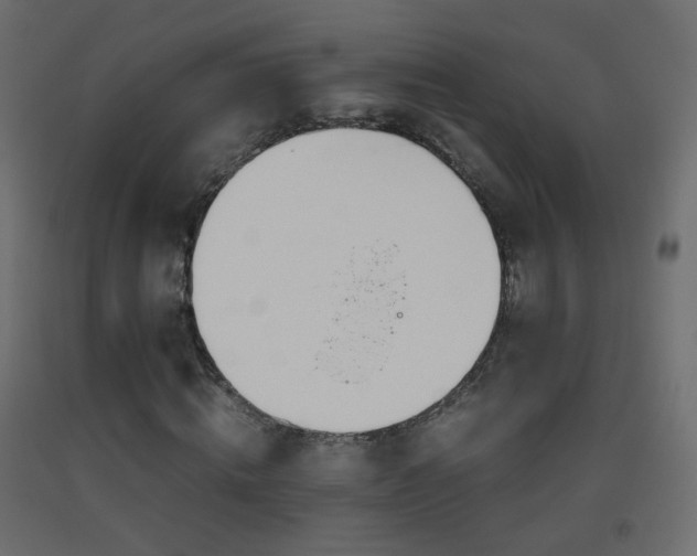 X0000093390820200710111513