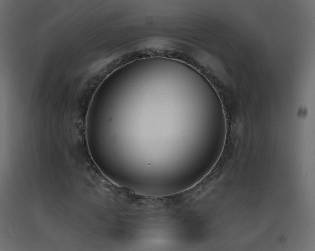 X0000093390822200710111513