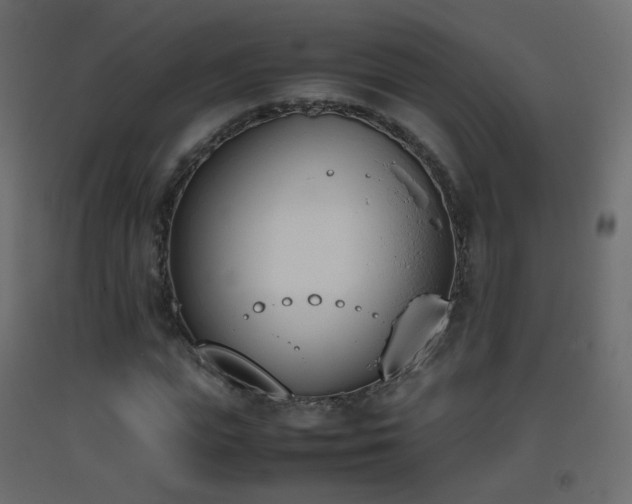 X0000093390823200710111513