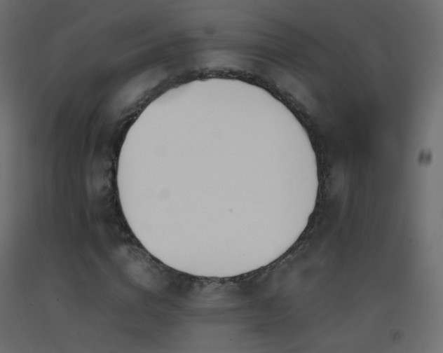 X0000093390824200710111513