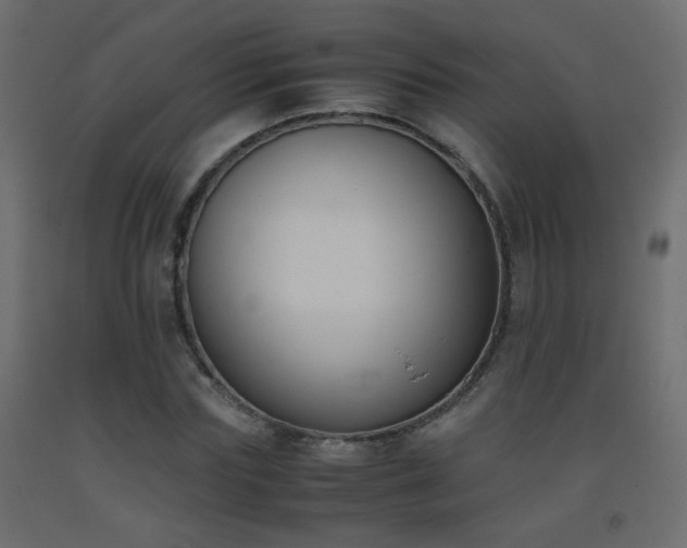 X0000093390827200710111513