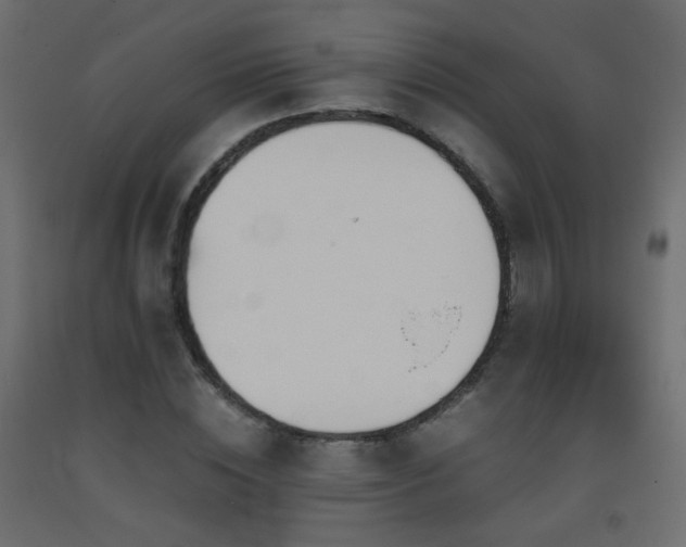 X0000093390828200710111513