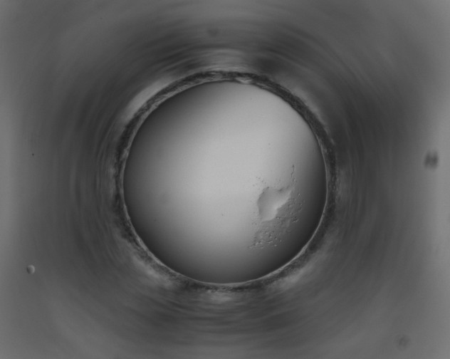 X0000093390829200710111513