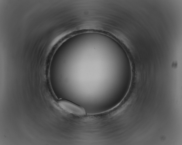 X0000093390830200710111513