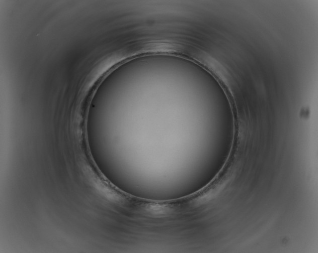 X0000093390835200710111513