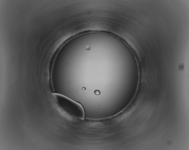 X0000093390837200710111513