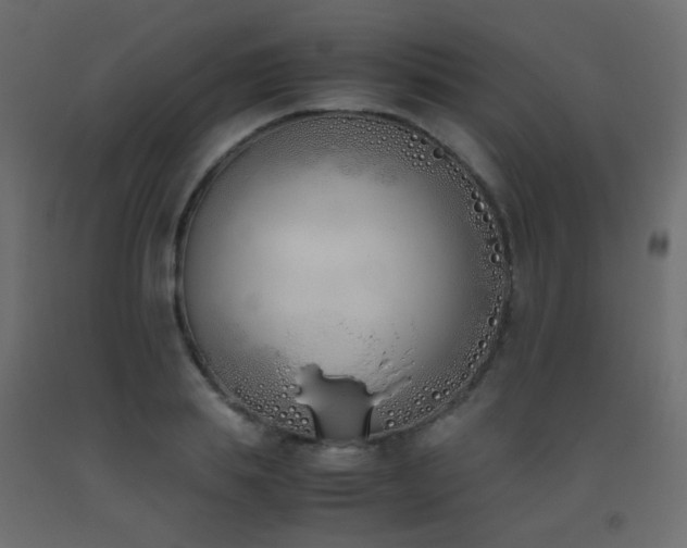 X0000093390839200710111513