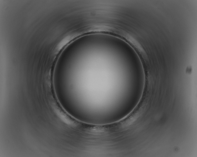 X0000093390842200710111513