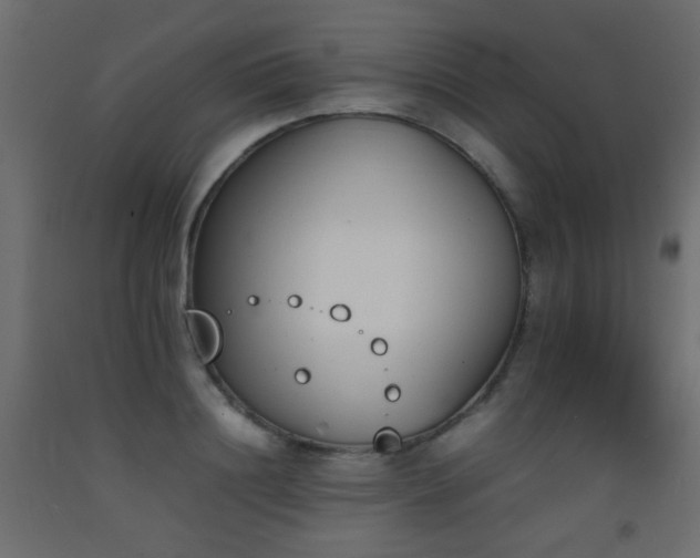 X0000093390844200710111513