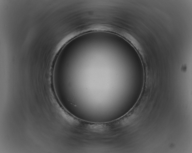 X0000093390853200710111514