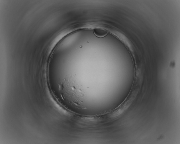 X0000093390855200710111514