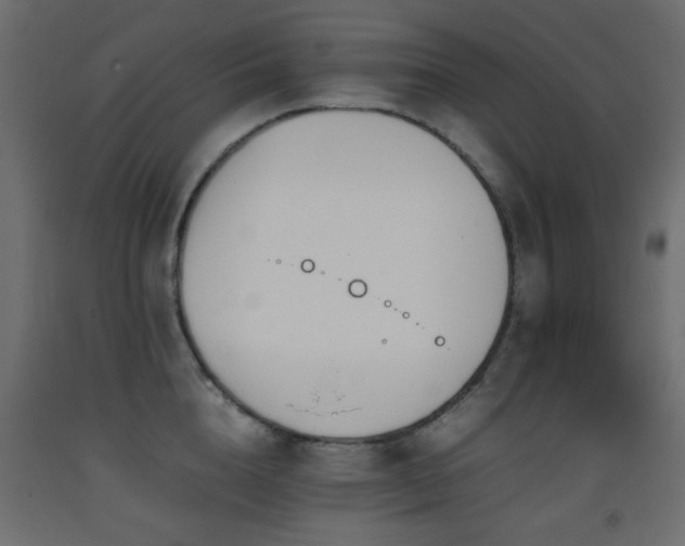 X0000093390856200710111514