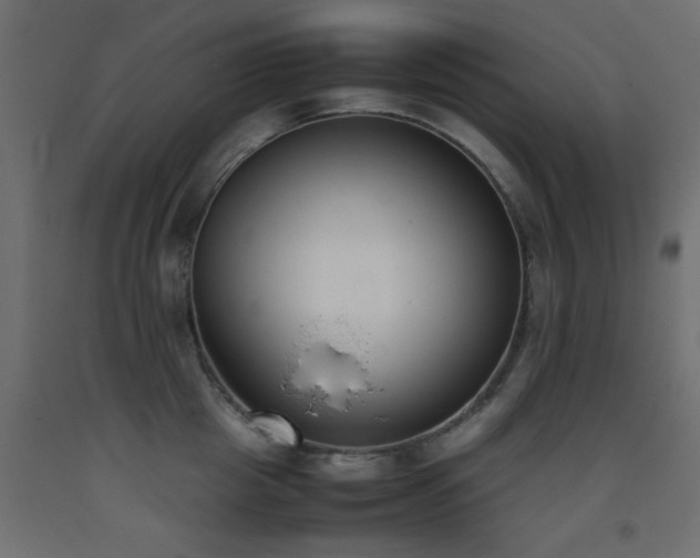 X0000093390857200710111514