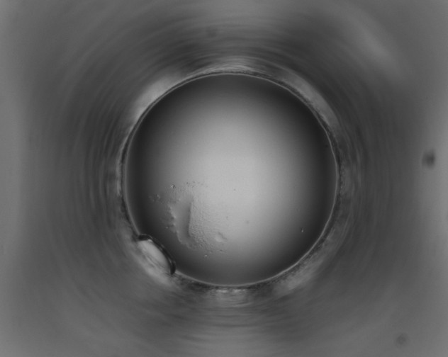 X0000093390858200710111514