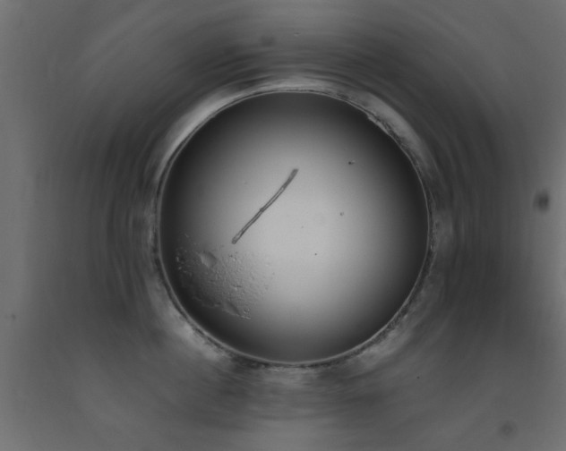 X0000093390860200710111514